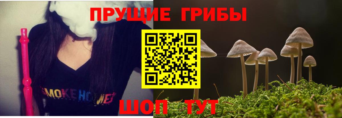 Тобольск  закладка  Вход с VPN  Псилоцибиновые грибы мухоморы  Галлюциногенные грибы мицелий 